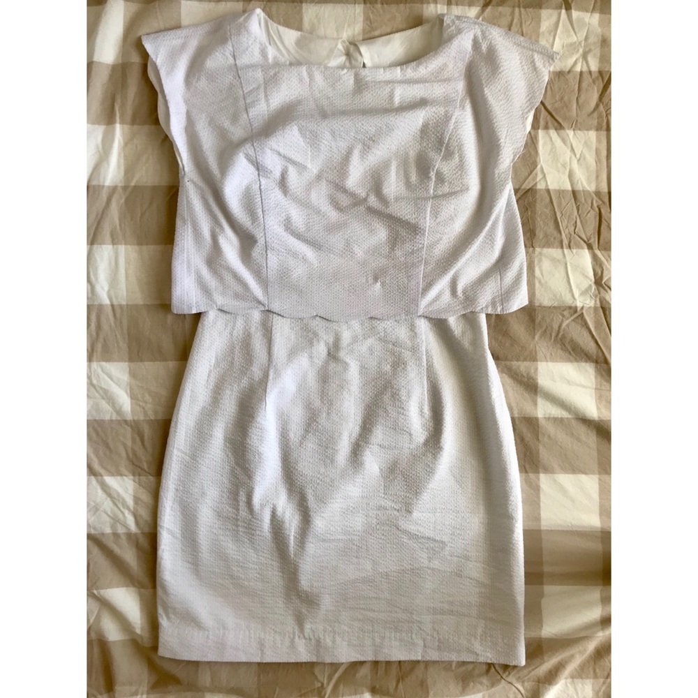 Lauren James Seersucker Dress (NEVER WORN)